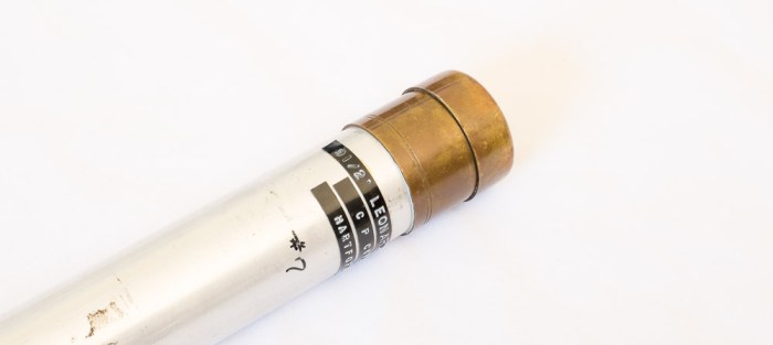 LeonardModel87DryFlySalmon-1