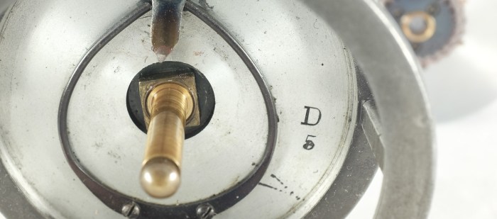 dingley3cagedspool-2