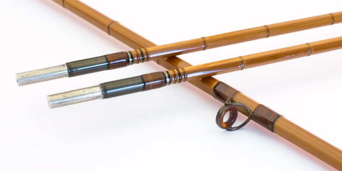 TaylorPresentation7´6#5-5