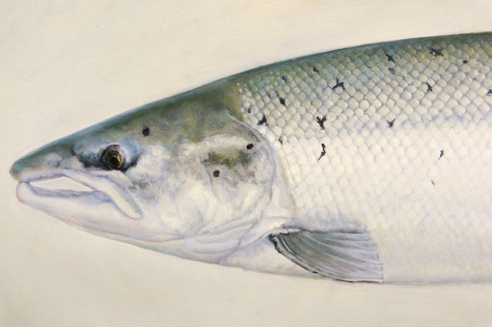 LithographSebastianLetelier-1