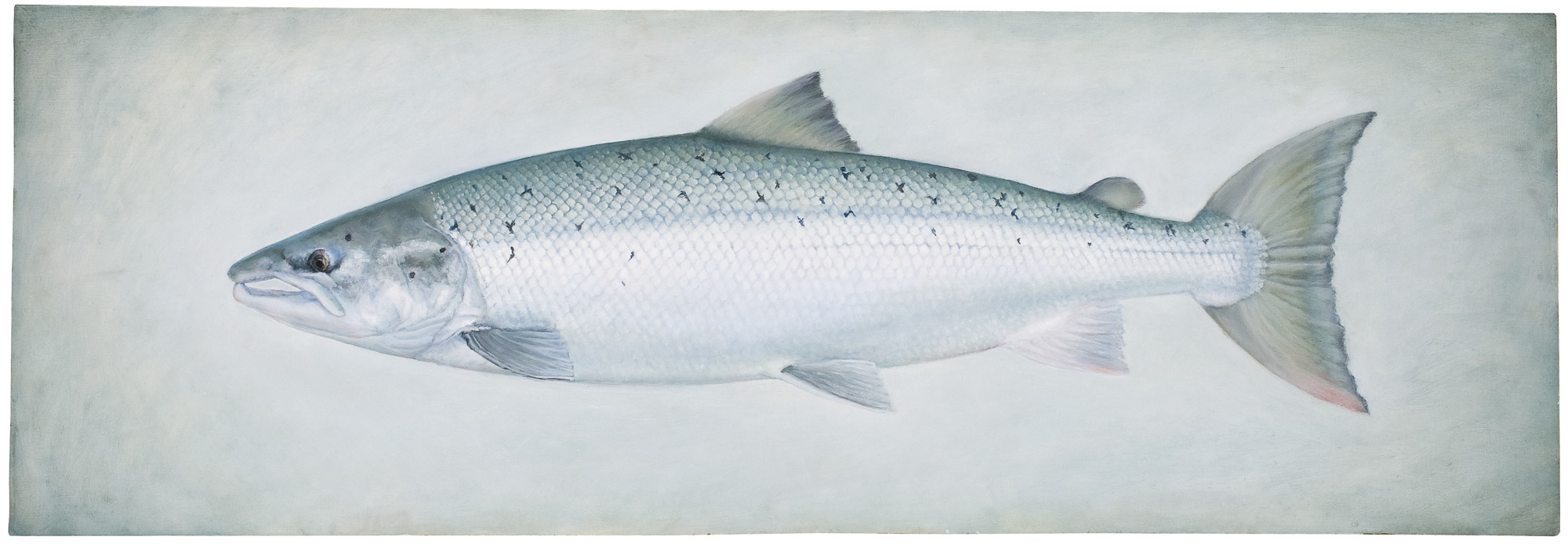 LithographSebastianLetelier-2